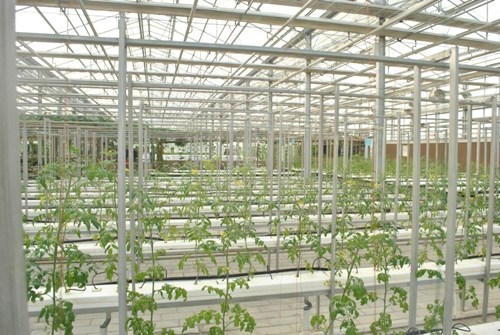 網(wǎng)媒看陜西:開(kāi)放創(chuàng)新助推西安邁向國(guó)際化大都市